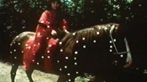 Kusama's Self-Obliteration's poster