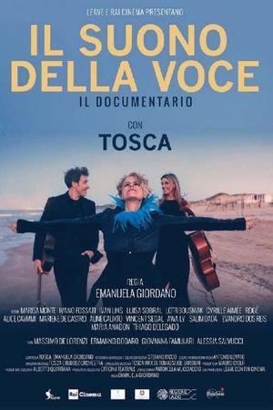 Il suono della voce's poster