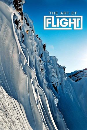 The Art of Flight's poster