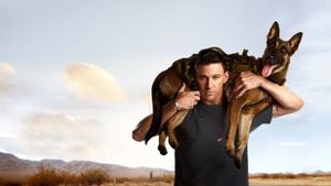 Dog's poster