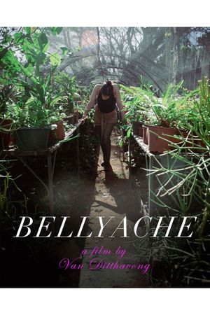 Bellyache's poster