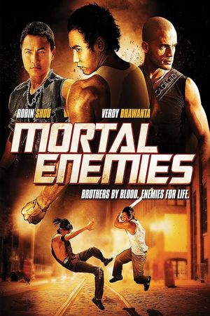 Mortal Enemies's poster