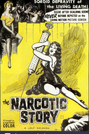 The Narcotics Story's poster