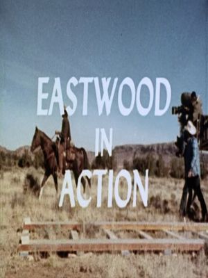 Eastwood In Action's poster