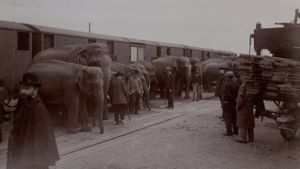 The Tragic Story of Fritz the Elephant's poster