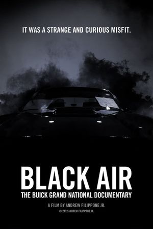 Black Air: The Buick Grand National Documentary's poster