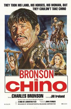 Chino's poster image