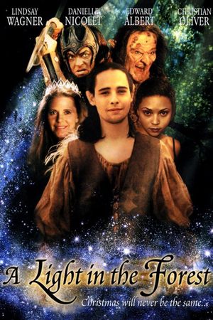 A Light in the Forest's poster