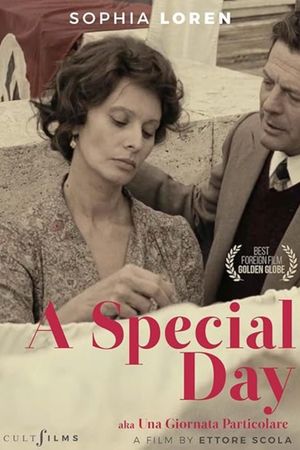 A Special Day's poster