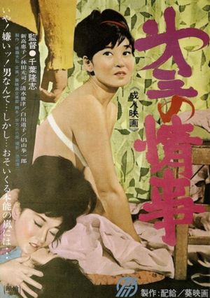 Dai san no jôji's poster