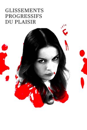 Successive Slidings of Pleasure's poster