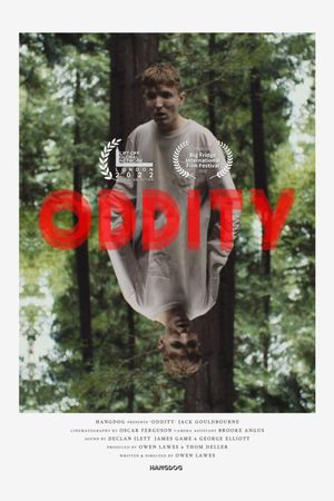 Oddity's poster