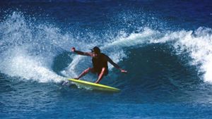 Fish: The Surfboard Documentary's poster
