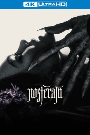 Nosferatu's poster