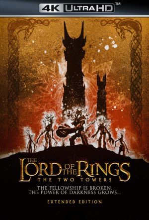 The Lord of the Rings: The Two Towers's poster