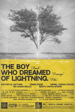 The Boy Who Dreamed of Lightning's poster image