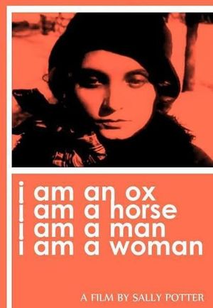 Women Filmmakers in Russia's poster
