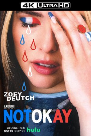 Not Okay's poster