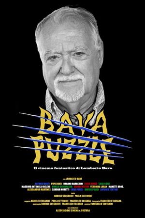 Bava Puzzle's poster