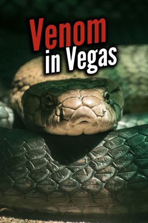 Venom In Vegas's poster