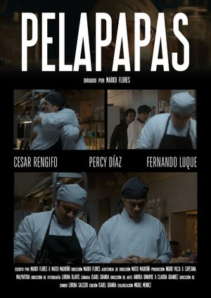 Pelapapas's poster