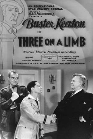 Three on a Limb's poster image