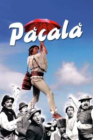 Pacala's poster