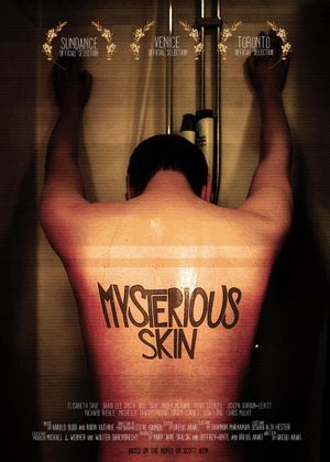 Mysterious Skin's poster