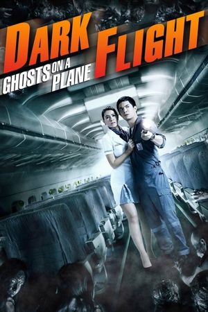 407 Dark Flight 3D's poster