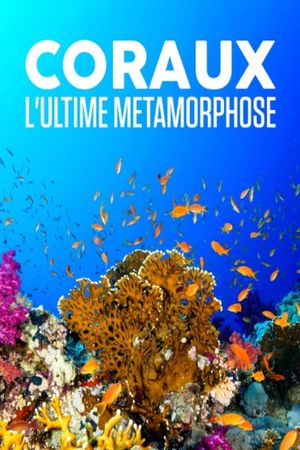 Coraux, l'ultime métamorphose's poster