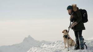 The Mountain Between Us's poster