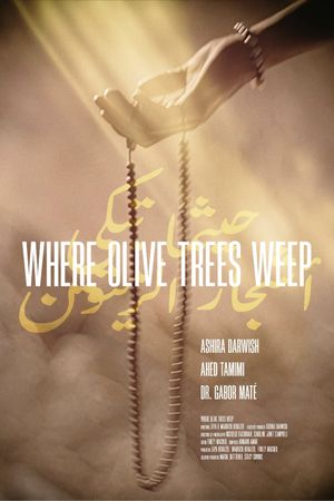 Where Olive Trees Weep's poster