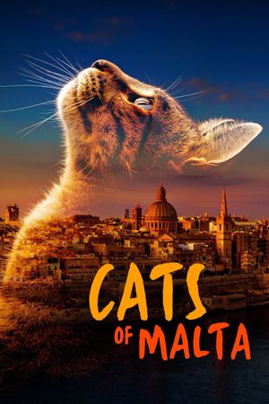 Cats of Malta's poster