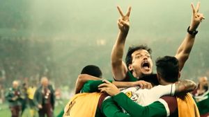 Todo Dia É 4 de Novembro: O Fluminense Conquista a América's poster