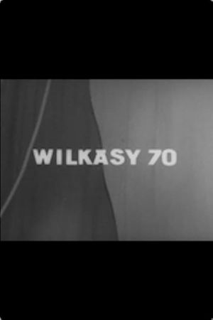 Wilkasy 70's poster