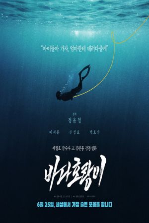 SEA TIGER's poster