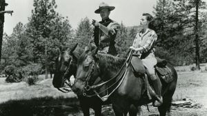 Northwest Rangers's poster