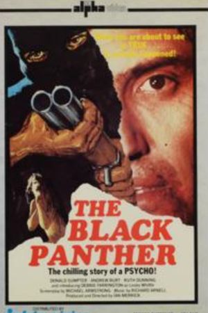 The Black Panther's poster