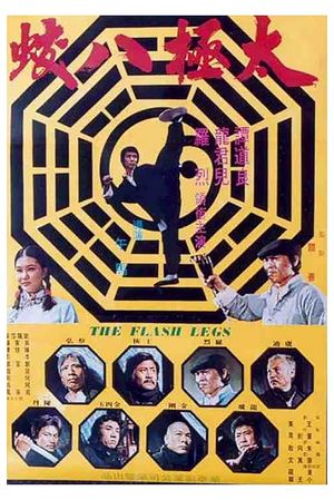 Shaolin Deadly Kicks's poster