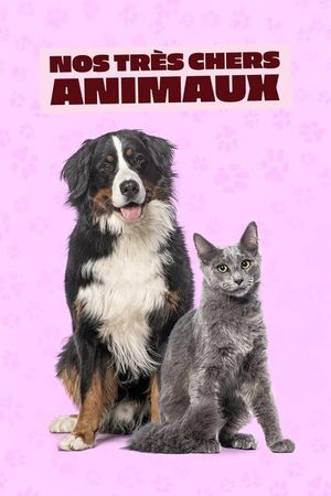 Nos très chers animaux's poster