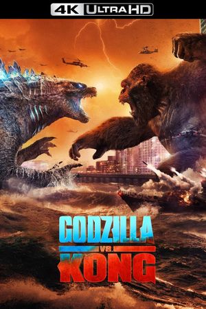 Godzilla vs. Kong's poster