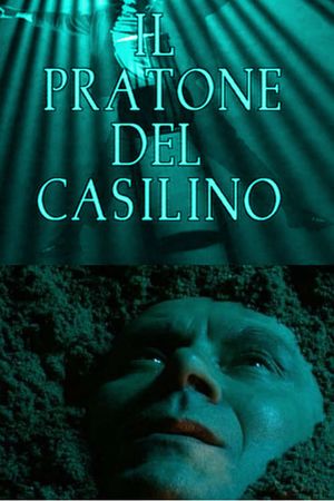 The field of Casilino's poster