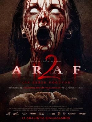 Araf 2's poster