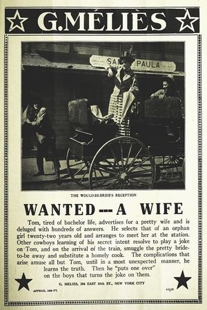 Wanted a Wife in a Hurry's poster