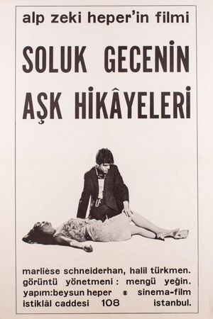 Love Stories of the Pale Night's poster