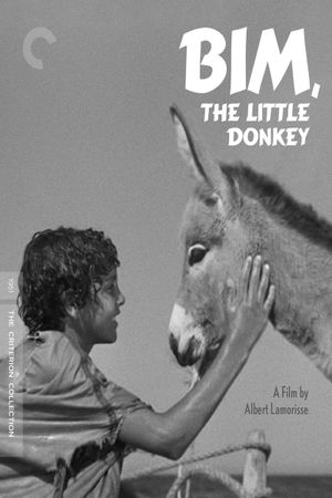 Bim, the Little Donkey's poster