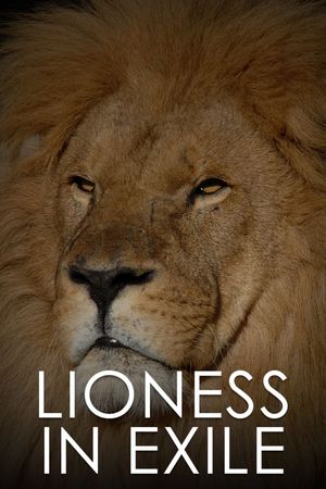 Lioness in Exile's poster