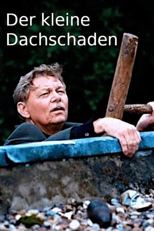 Der kleine Dachschaden's poster