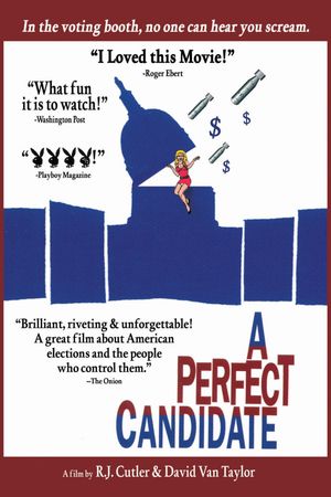 A Perfect Candidate's poster