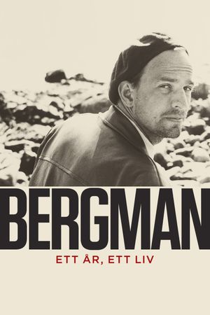 Bergman: A Year in a Life's poster